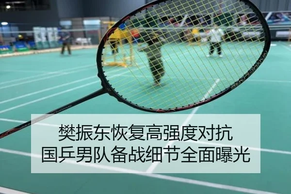 樊振东恢复高强度对抗 国乒男队备战细节全面曝光